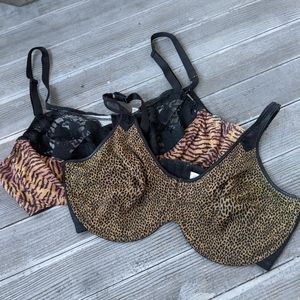 2 Pc Animal Print 42D Underwire Bra Bundle